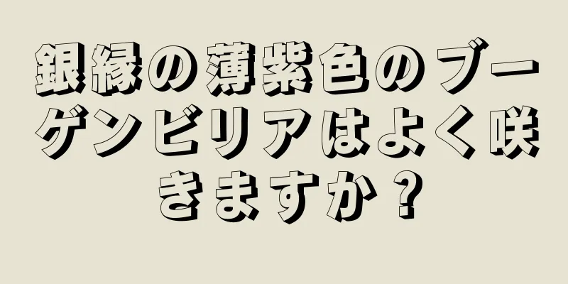 銀縁の薄紫色のブーゲンビリアはよく咲きますか？