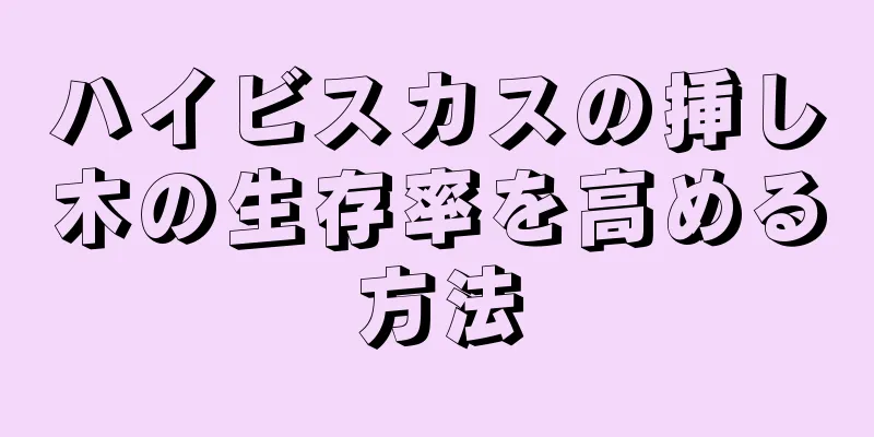 ハイビスカスの挿し木の生存率を高める方法