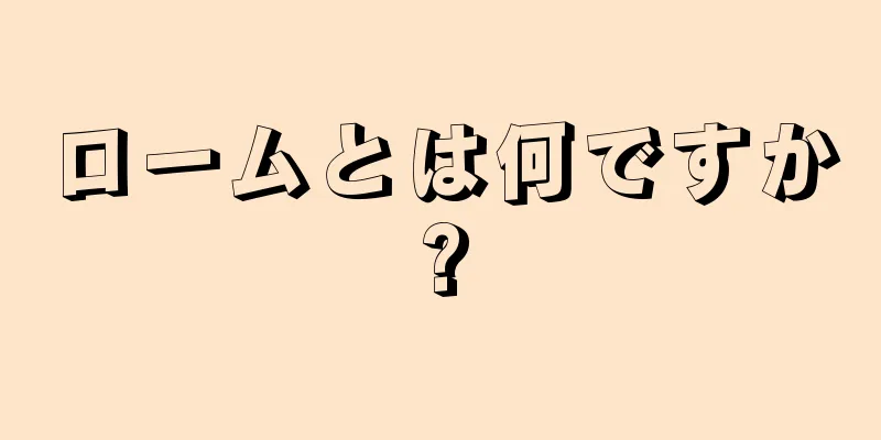 ロームとは何ですか?