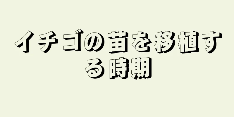 イチゴの苗を移植する時期