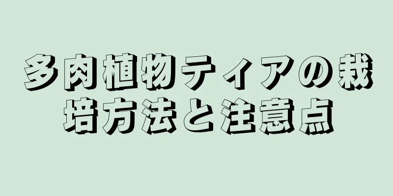 多肉植物ティアの栽培方法と注意点
