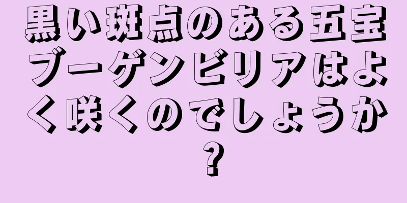 黒い斑点のある五宝ブーゲンビリアはよく咲くのでしょうか？