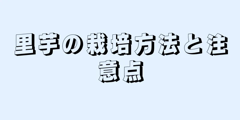 里芋の栽培方法と注意点