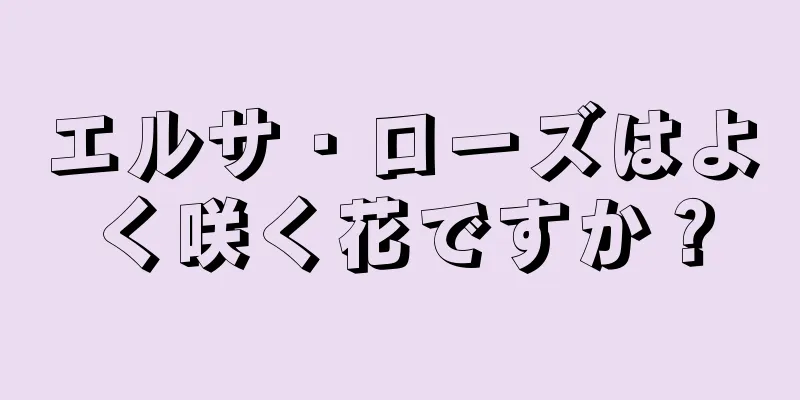 エルサ・ローズはよく咲く花ですか？
