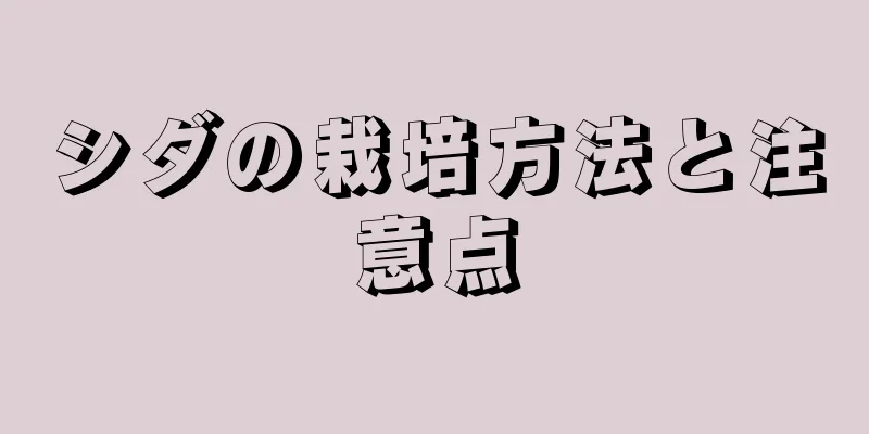 シダの栽培方法と注意点