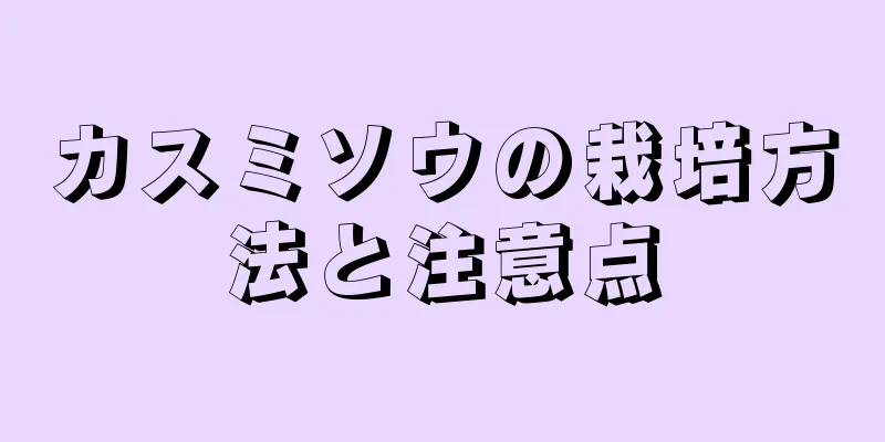 カスミソウの栽培方法と注意点