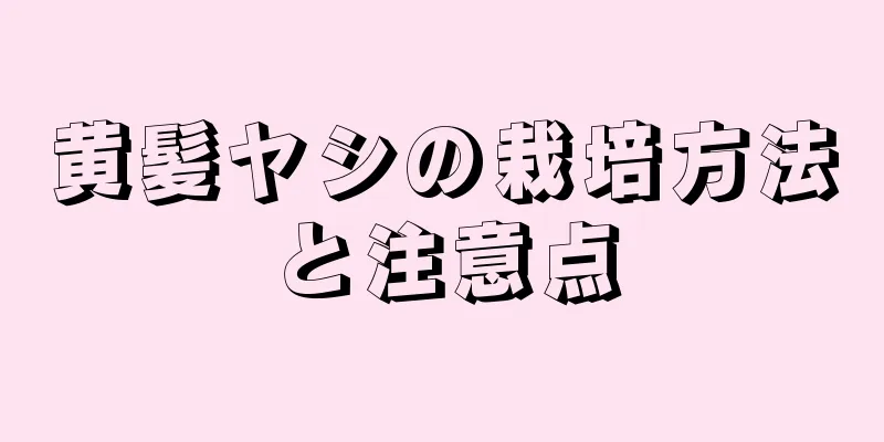 黄髪ヤシの栽培方法と注意点