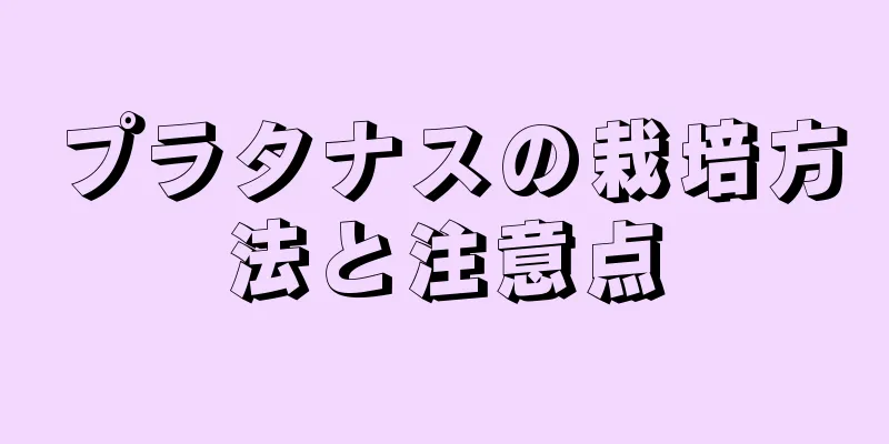 プラタナスの栽培方法と注意点