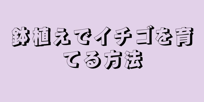 鉢植えでイチゴを育てる方法