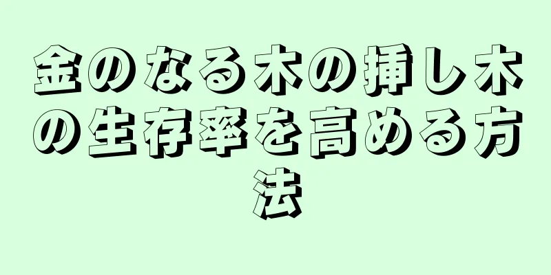 金のなる木の挿し木の生存率を高める方法