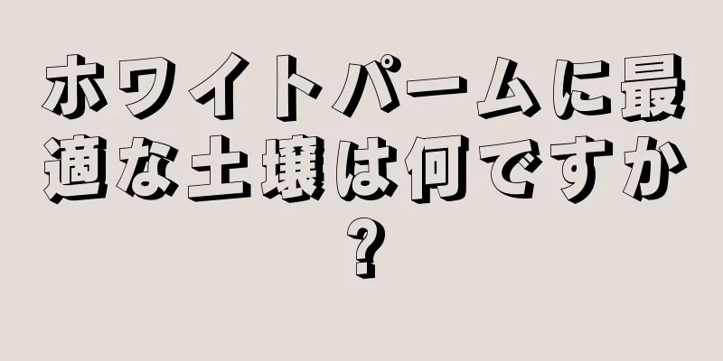 ホワイトパームに最適な土壌は何ですか?