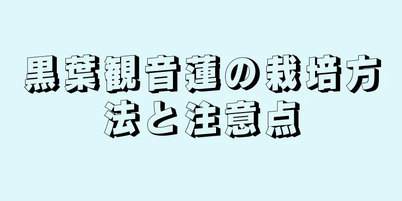 黒葉観音蓮の栽培方法と注意点