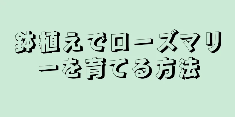 鉢植えでローズマリーを育てる方法