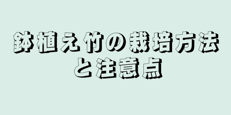鉢植え竹の栽培方法と注意点