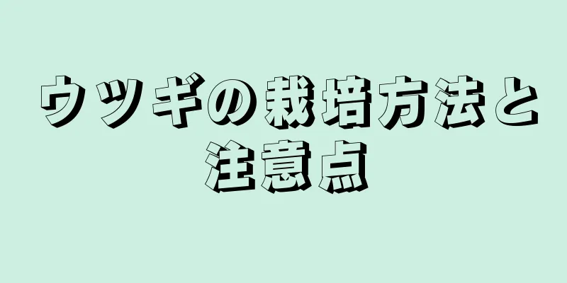 ウツギの栽培方法と注意点