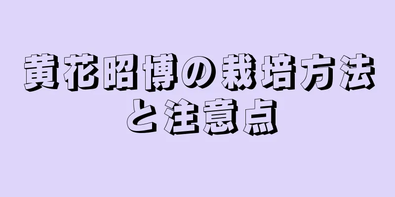 黄花昭博の栽培方法と注意点