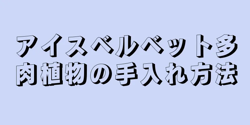 アイスベルベット多肉植物の手入れ方法