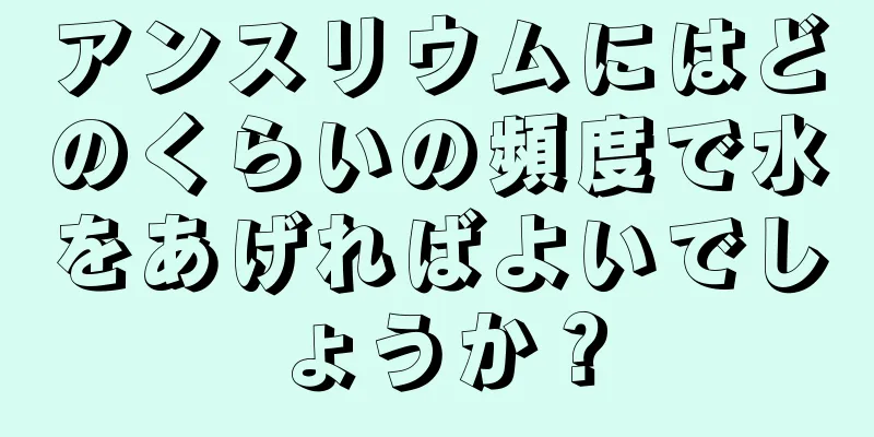 アンスリウムにはどのくらいの頻度で水をあげればよいでしょうか？