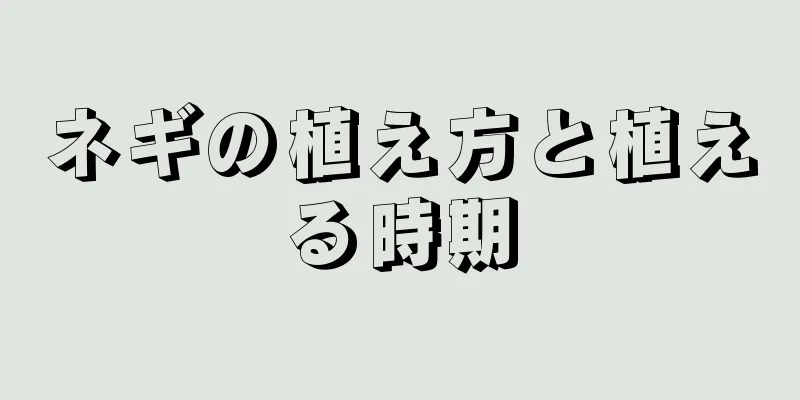 ネギの植え方と植える時期