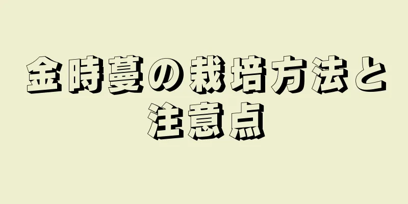 金時蔓の栽培方法と注意点