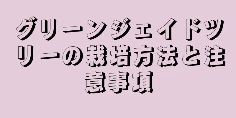 グリーンジェイドツリーの栽培方法と注意事項