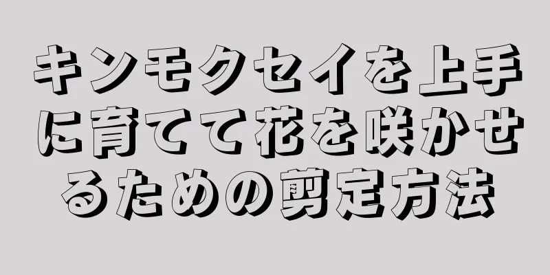 キンモクセイを上手に育てて花を咲かせるための剪定方法