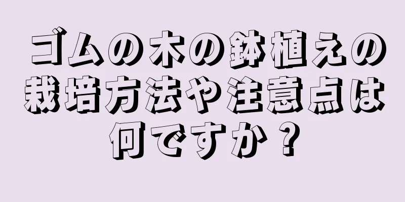 ゴムの木の鉢植えの栽培方法や注意点は何ですか？