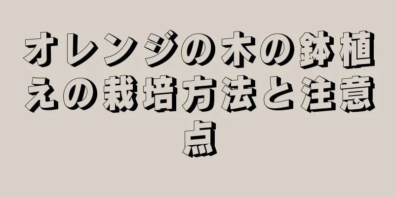 オレンジの木の鉢植えの栽培方法と注意点