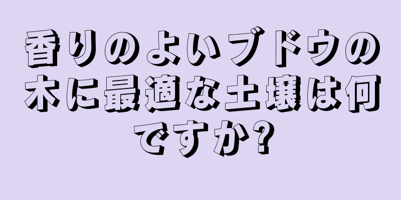 香りのよいブドウの木に最適な土壌は何ですか?