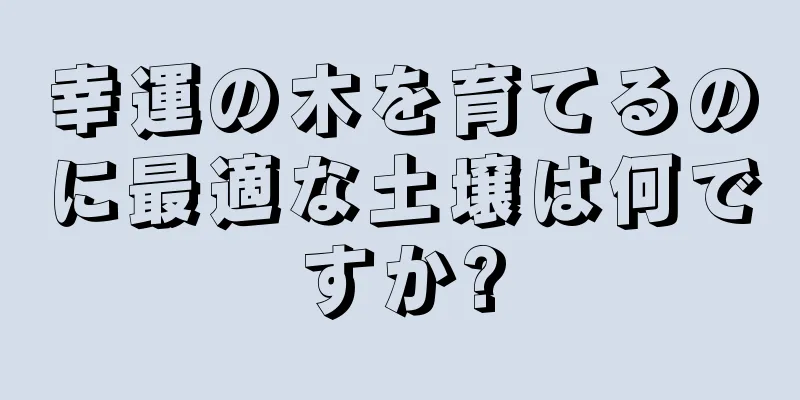 幸運の木を育てるのに最適な土壌は何ですか?