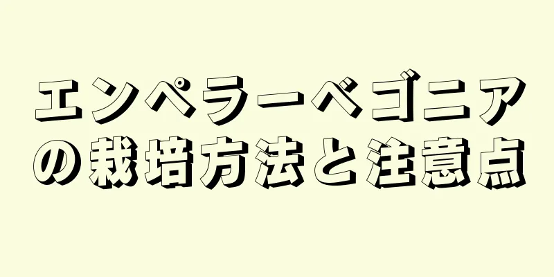 エンペラーベゴニアの栽培方法と注意点