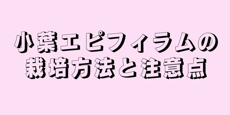 小葉エピフィラムの栽培方法と注意点