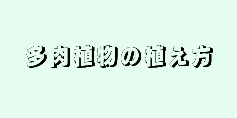多肉植物の植え方