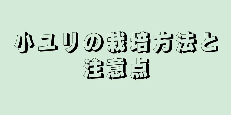 小ユリの栽培方法と注意点