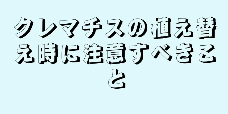 クレマチスの植え替え時に注意すべきこと