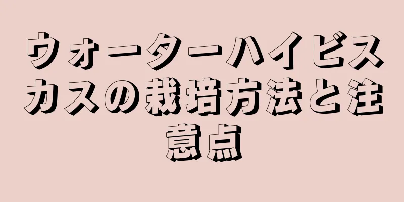 ウォーターハイビスカスの栽培方法と注意点