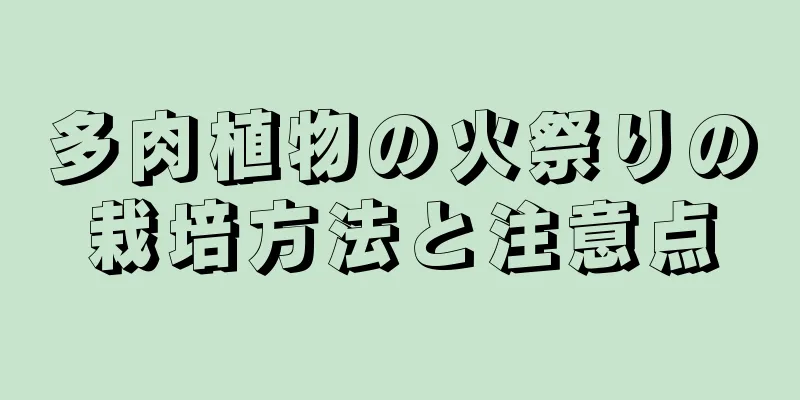 多肉植物の火祭りの栽培方法と注意点