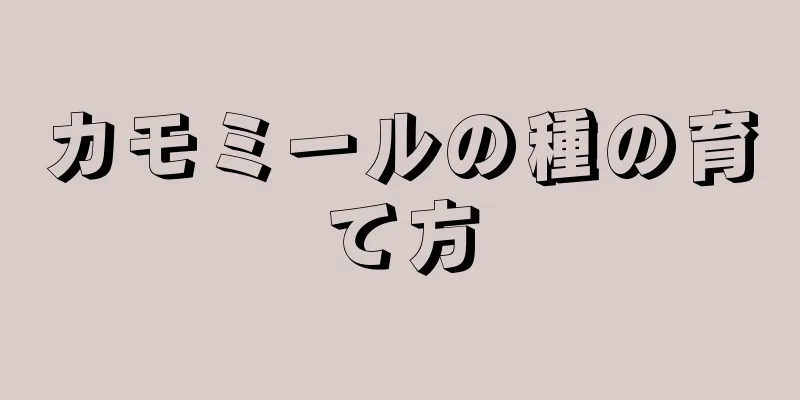 カモミールの種の育て方