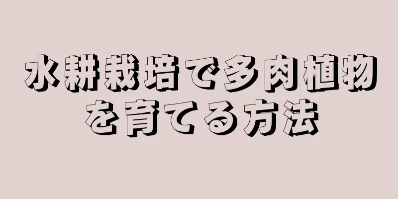 水耕栽培で多肉植物を育てる方法