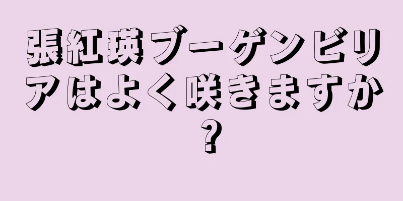 張紅瑛ブーゲンビリアはよく咲きますか？
