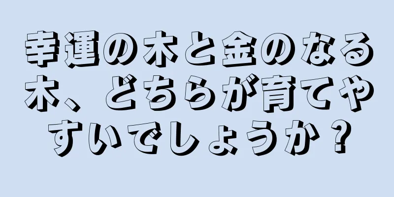 幸運の木と金のなる木、どちらが育てやすいでしょうか？