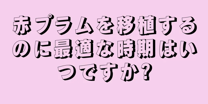 赤プラムを移植するのに最適な時期はいつですか?