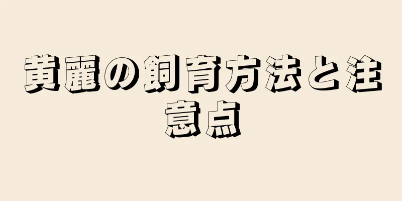 黄麗の飼育方法と注意点
