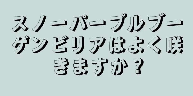 スノーパープルブーゲンビリアはよく咲きますか？
