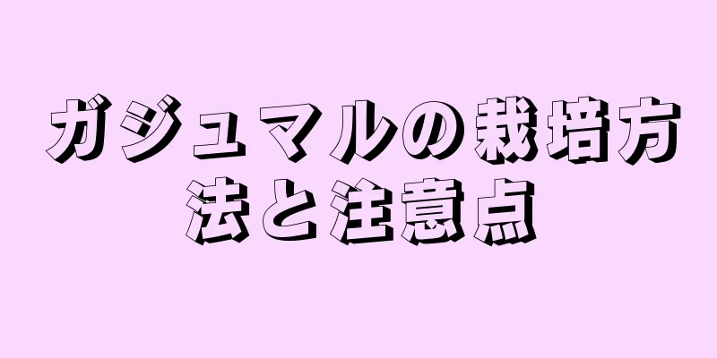 ガジュマルの栽培方法と注意点