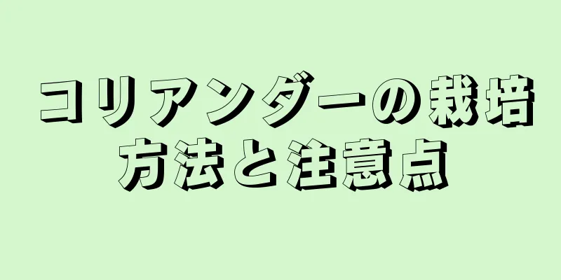 コリアンダーの栽培方法と注意点