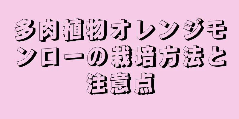 多肉植物オレンジモンローの栽培方法と注意点