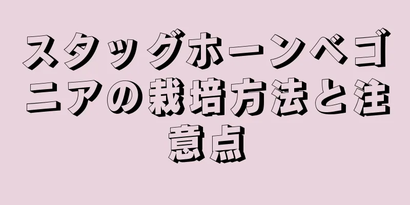 スタッグホーンベゴニアの栽培方法と注意点