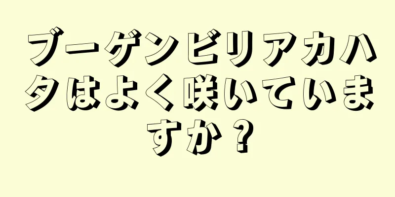 ブーゲンビリアカハタはよく咲いていますか？