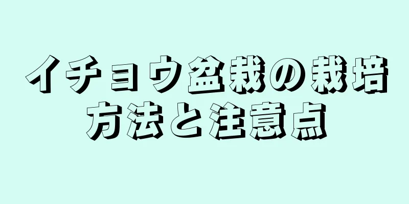 イチョウ盆栽の栽培方法と注意点